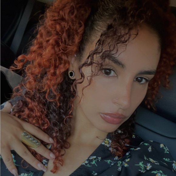 Meet your Posher, Daisy - Picture 1 of 1